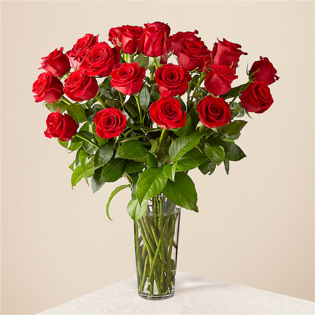 Long Stem Red Rose Bouquet – Poplar Flower Shop, Terre Haute IN