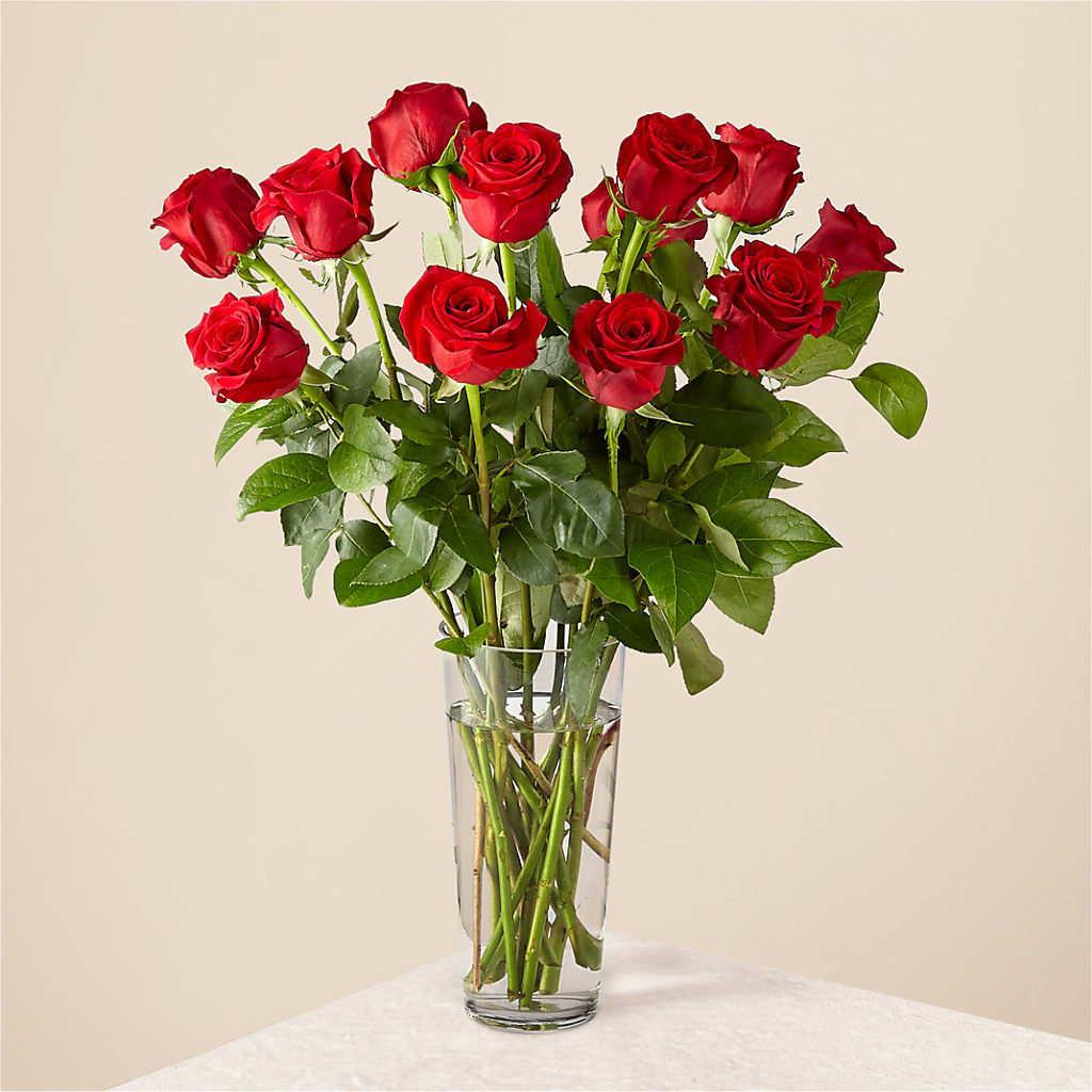Long Stem Red Rose Bouquet – Poplar Flower Shop, Terre Haute IN