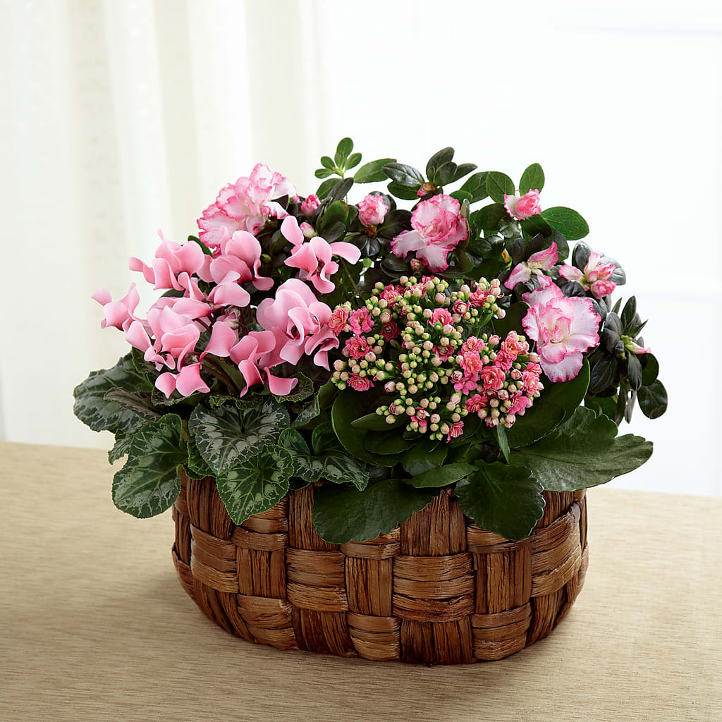 Pink Assortment – Poplar Flower Shop, Terre Haute IN