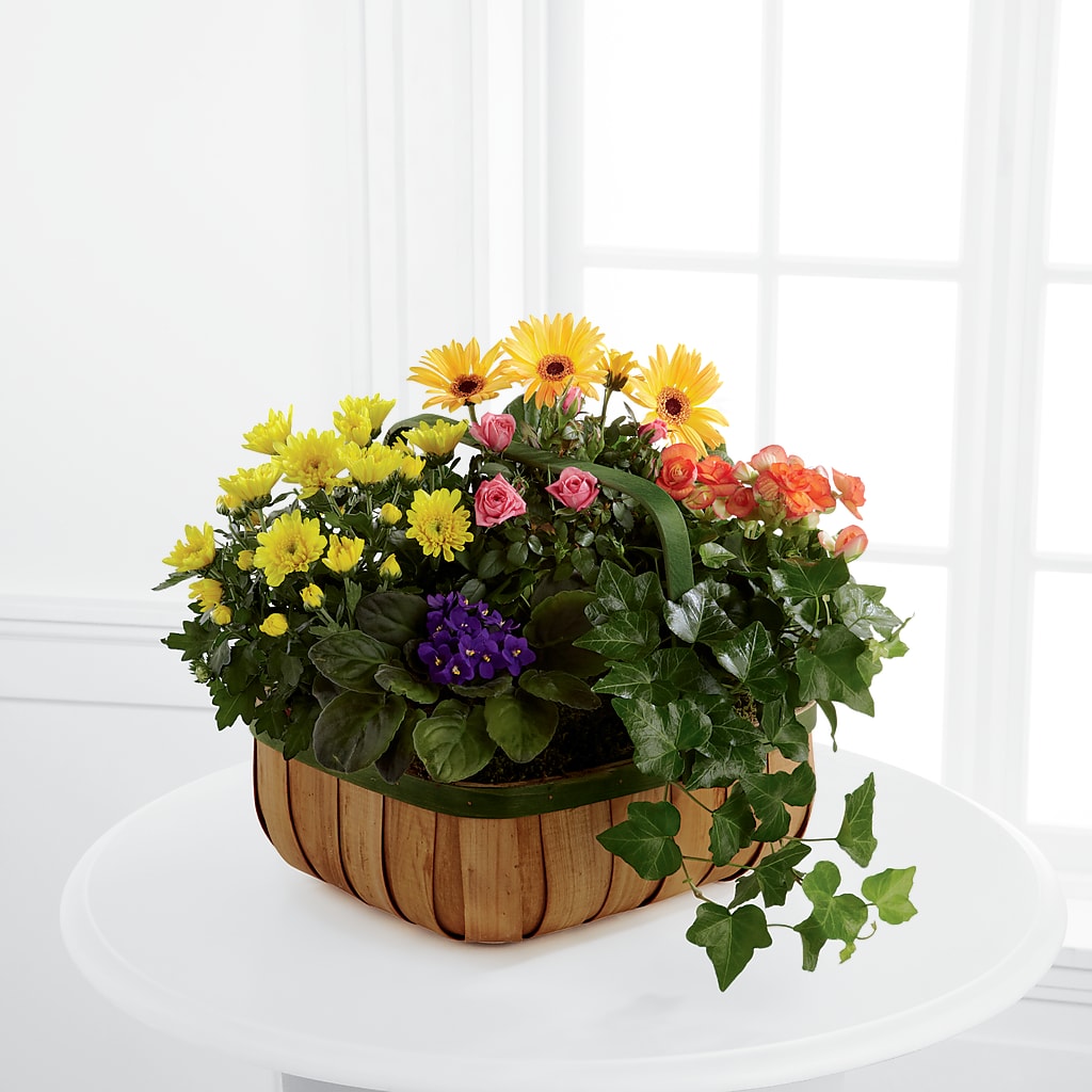 Gentle Blossoms Basket – Poplar Flower Shop, Terre Haute IN