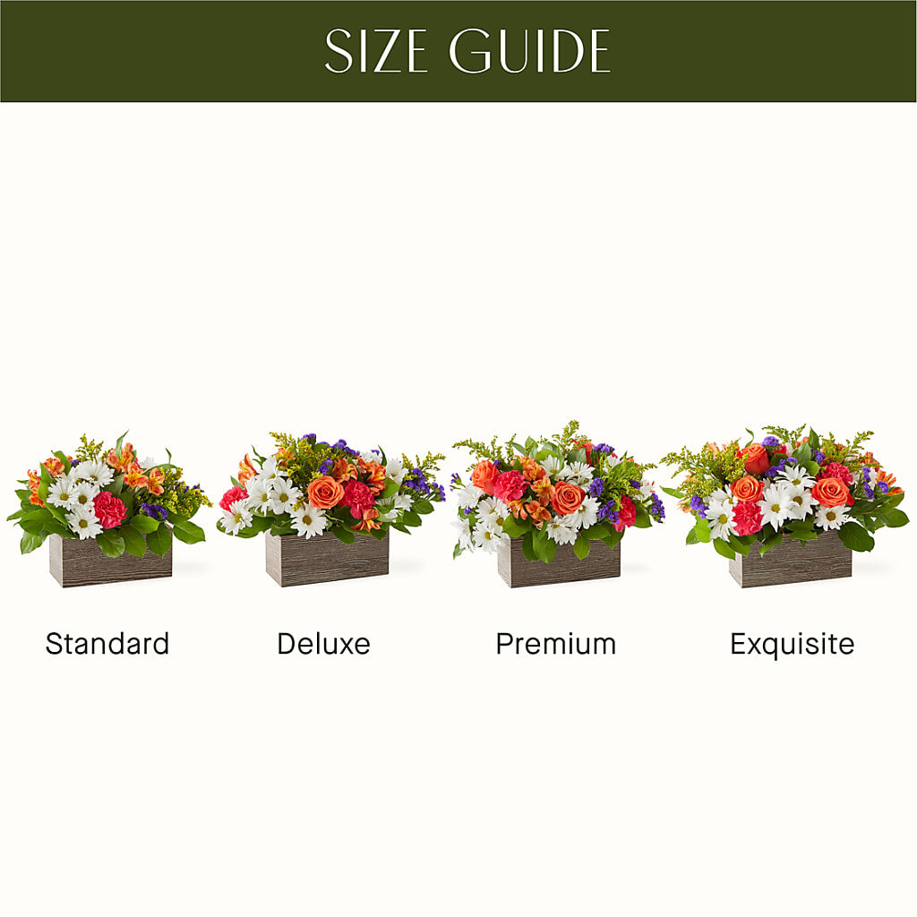 Oopsie Daisy Box Bouquet – Poplar Flower Shop, Terre Haute IN