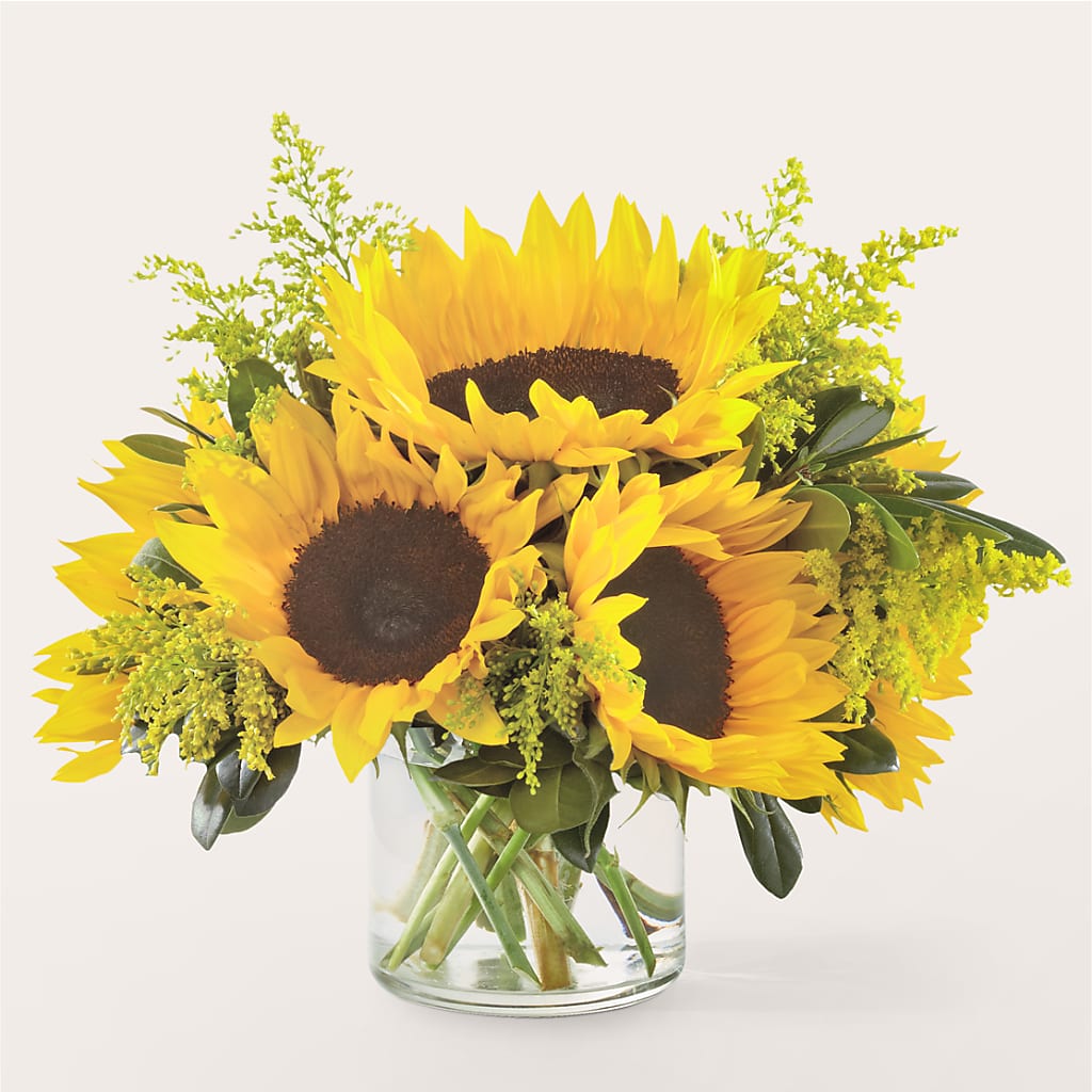 Beaming Sunflower Bouquet – Poplar Flower Shop, Terre Haute IN