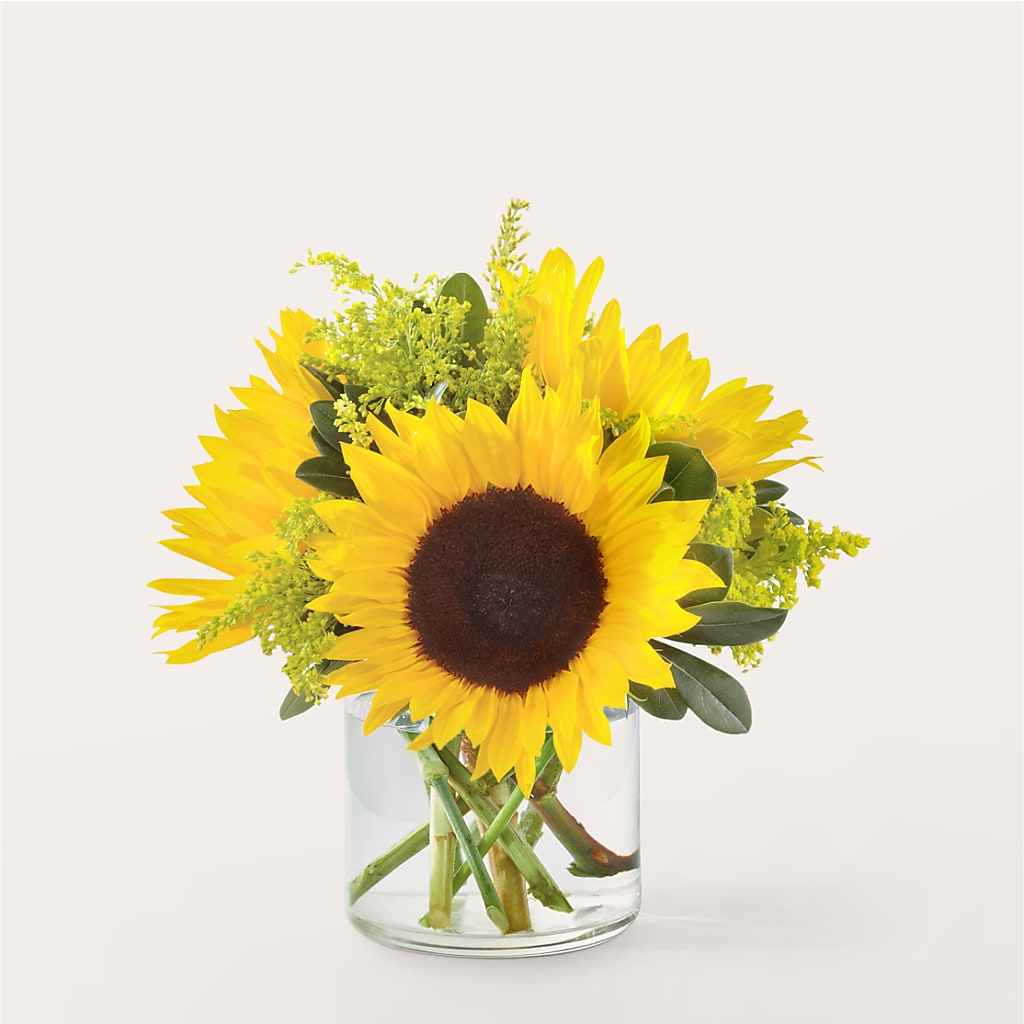Beaming Sunflower Bouquet – Poplar Flower Shop, Terre Haute IN