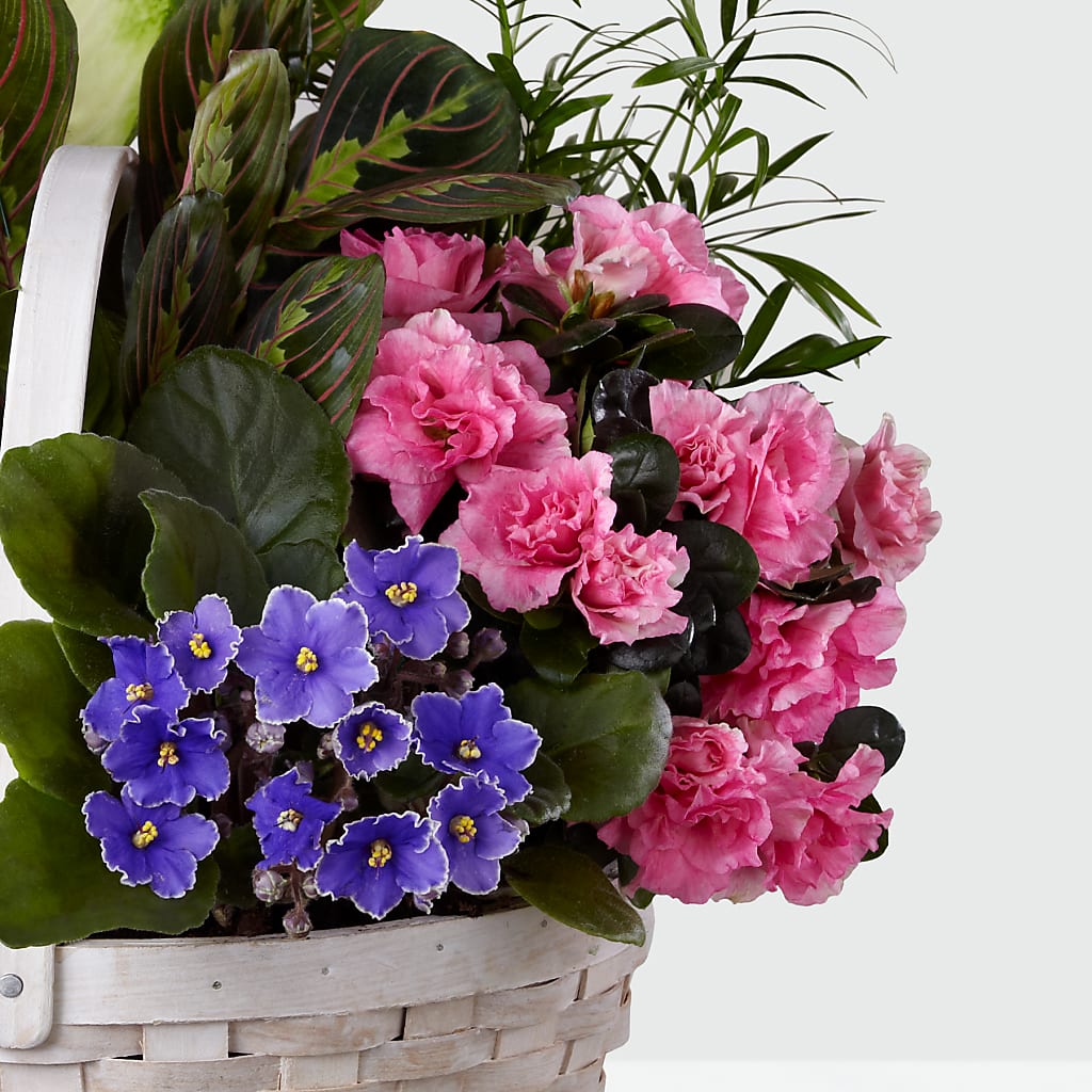 Peaceful Garden Planter – Poplar Flower Shop, Terre Haute IN