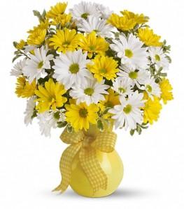 Teleflora's Upsy Daisy
