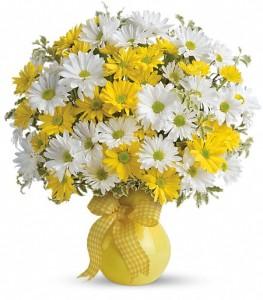 Teleflora's Upsy Daisy