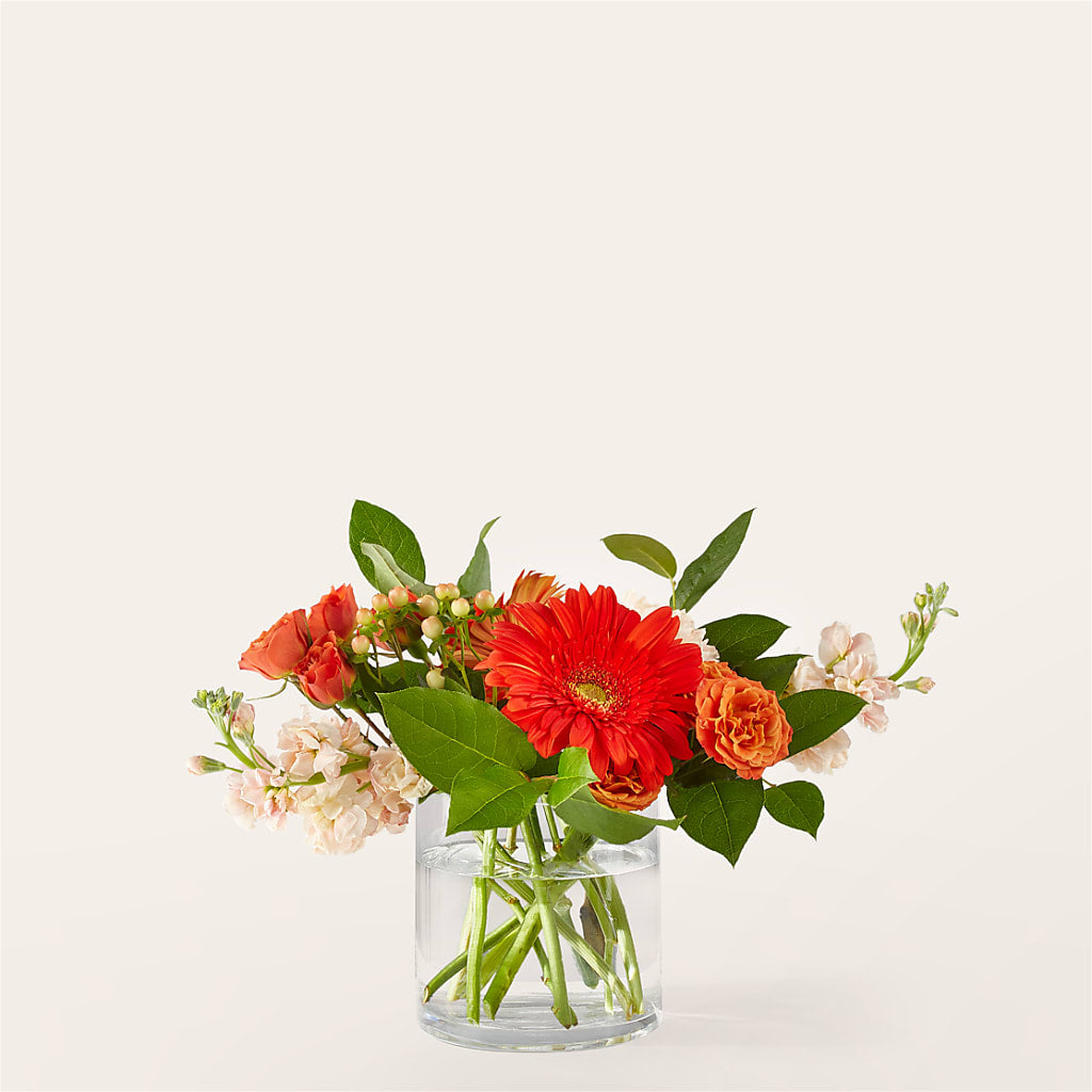 Paloma Please Bouquet – Poplar Flower Shop, Terre Haute IN