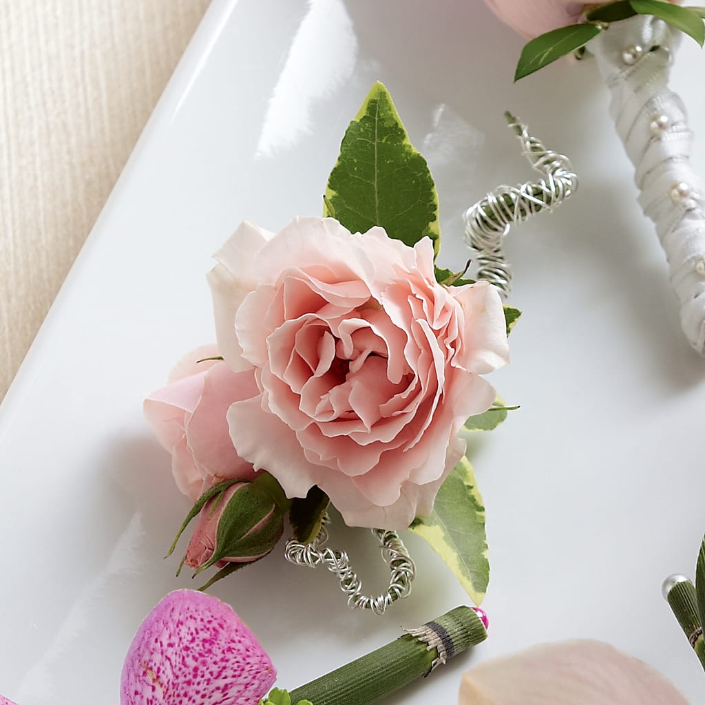 Pink Spray Rose Boutonniere – Poplar Flower Shop, Terre Haute IN