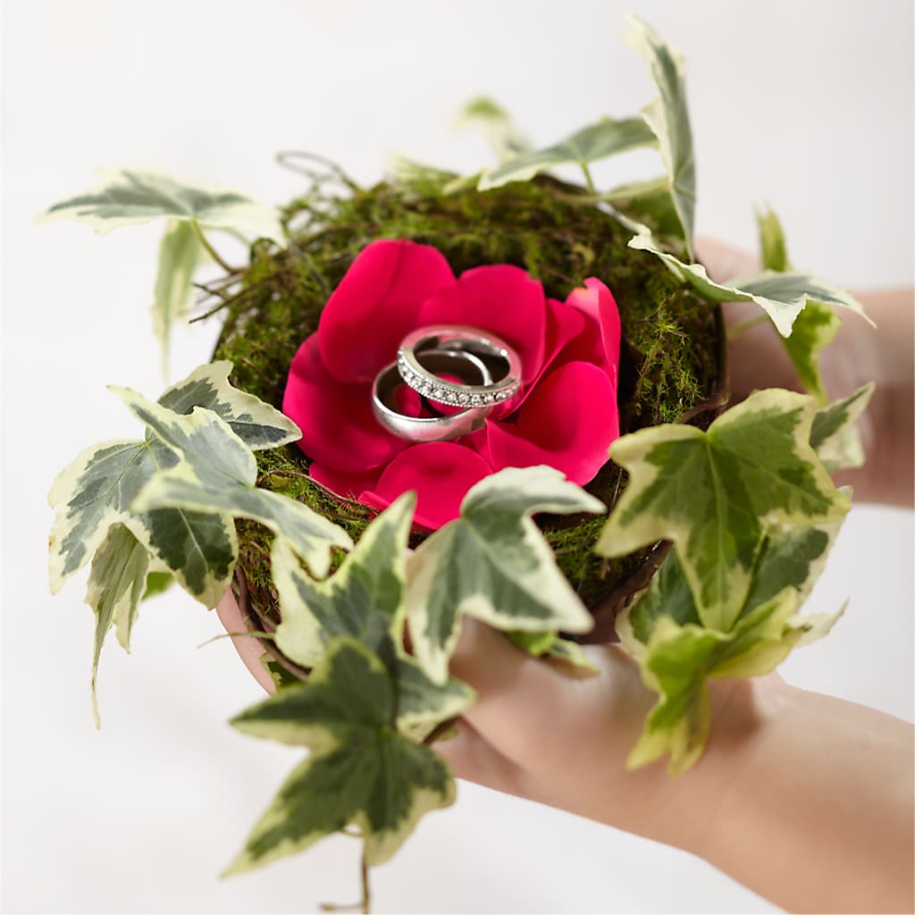 Lila Rose Ring Nest – Poplar Flower Shop, Terre Haute IN