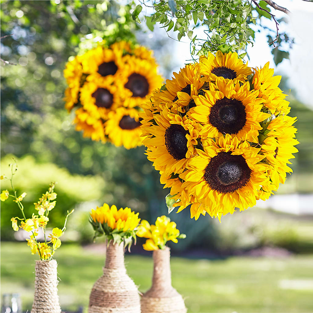Sublime Garden Hanging Arrangement – Poplar Flower Shop, Terre Haute IN