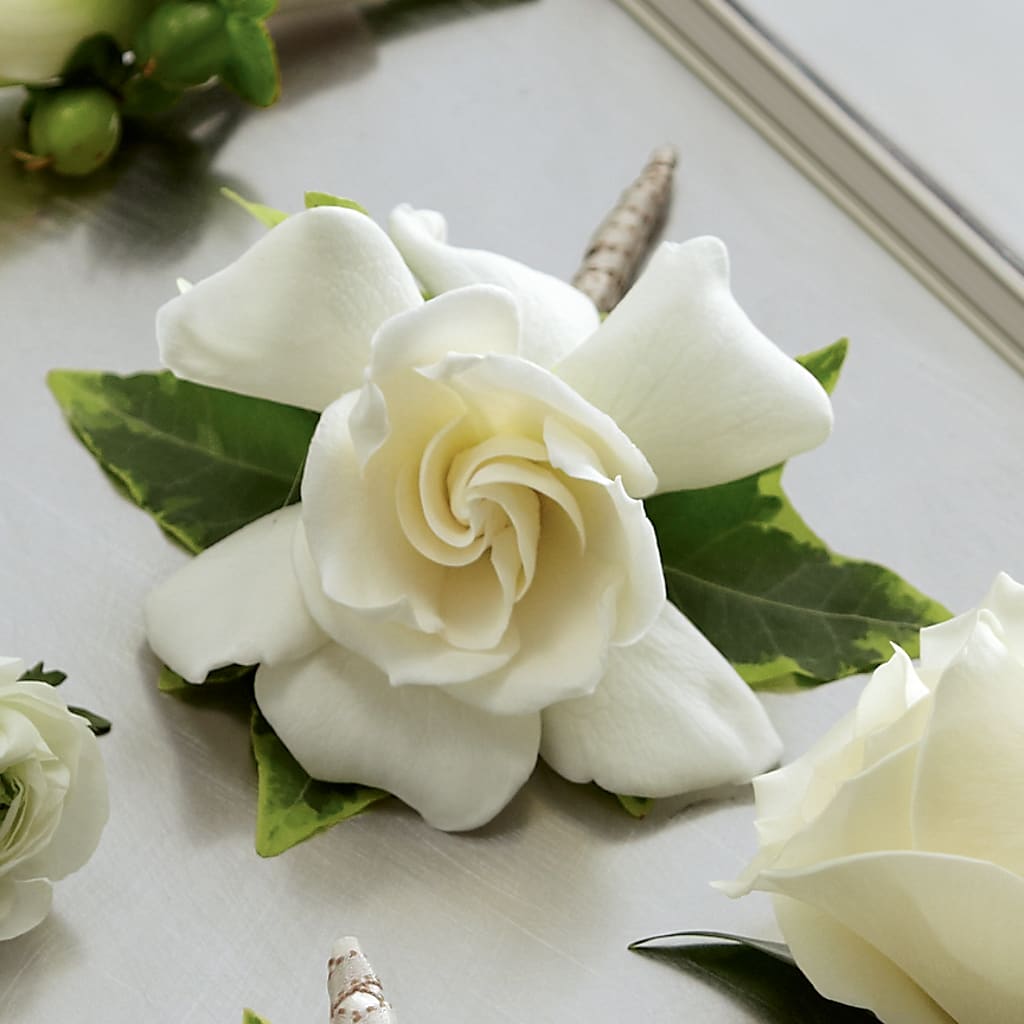 Gardenia Boutonniere – Poplar Flower Shop, Terre Haute IN