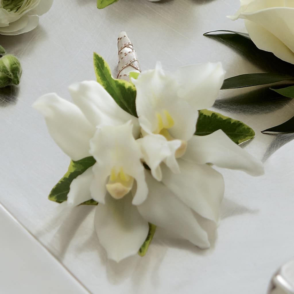 White Mini Cymbidium Boutonniere – Poplar Flower Shop, Terre Haute IN