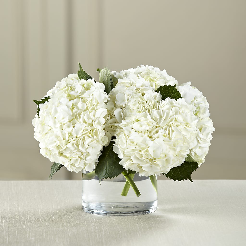 White Hydrangea Bouquet – Poplar Flower Shop, Terre Haute IN