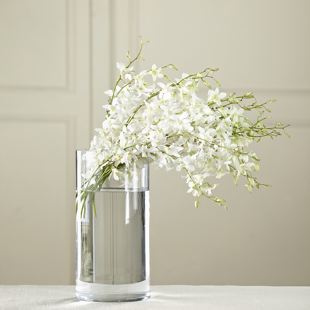 White Dendrobium Bouquet – Poplar Flower Shop, Terre Haute IN