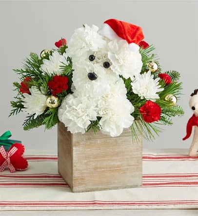 1-800-Flowers Santa Paws