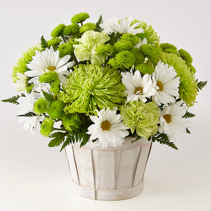 Lucky Charm Basket (Standard) –  Poplar Flower Shop, Terre Haute IN
