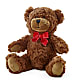 Adorable Plush Bear –  Poplar Flower Shop, Terre Haute IN