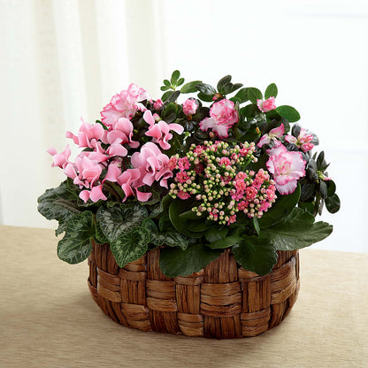 Pink Assortment –  Poplar Flower Shop, Terre Haute IN