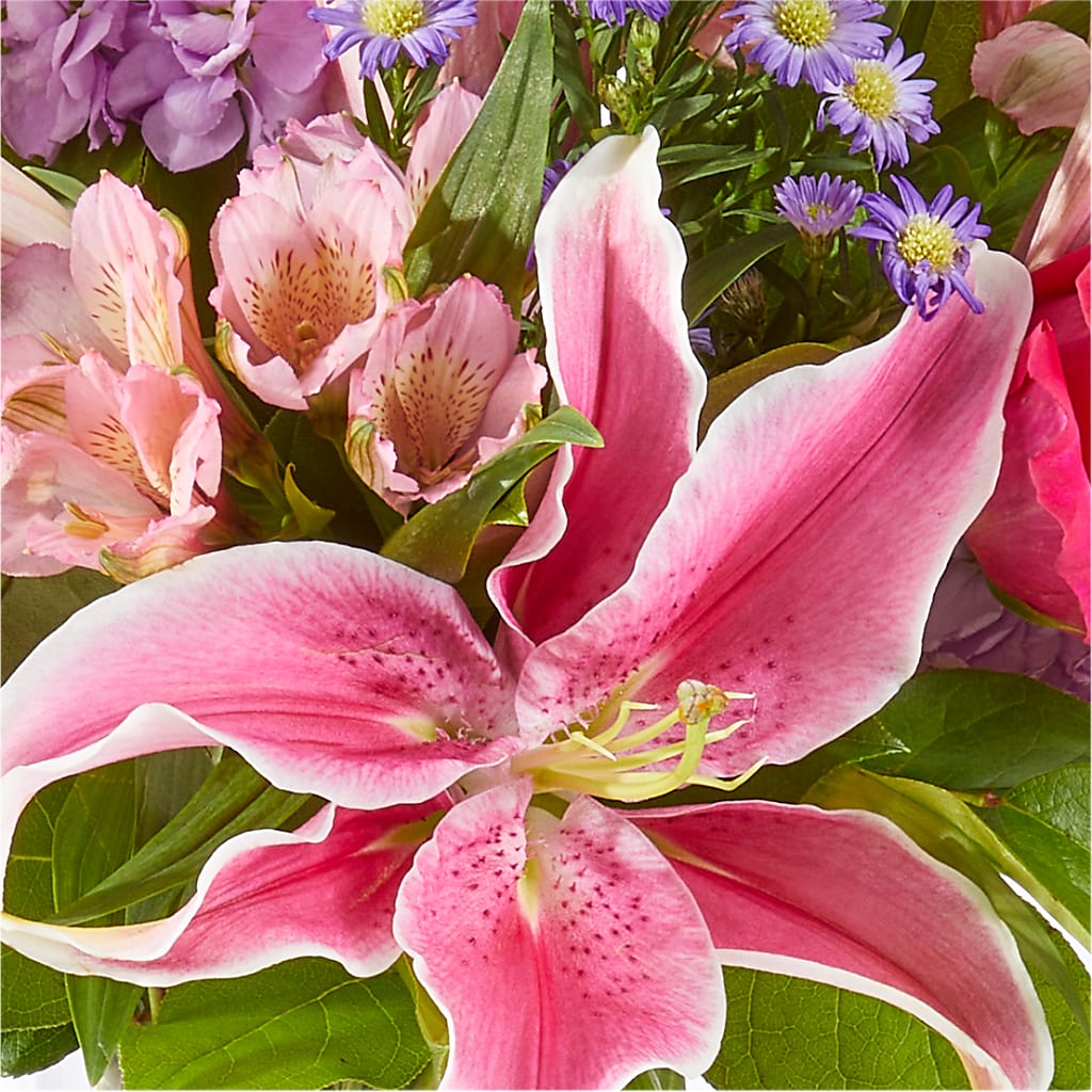 Written in the Stars Bouquet –  Poplar Flower Shop, Terre Haute IN