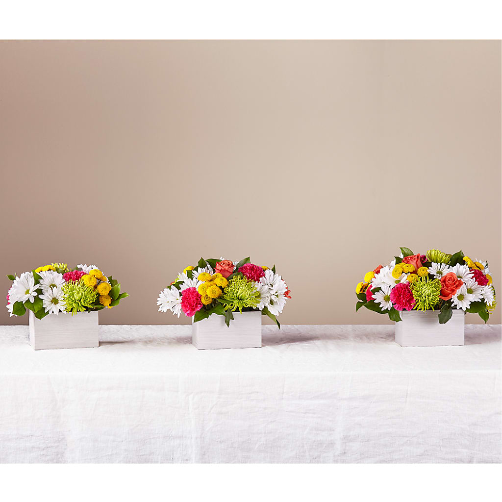 Sorbet Bouquet –  Poplar Flower Shop, Terre Haute IN