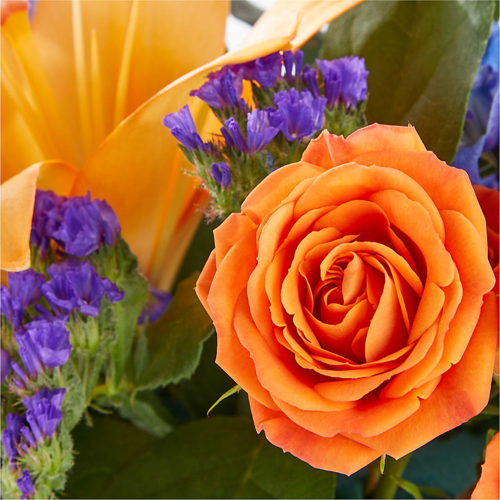Radiant Citrus Box Bouquet –  Poplar Flower Shop, Terre Haute IN