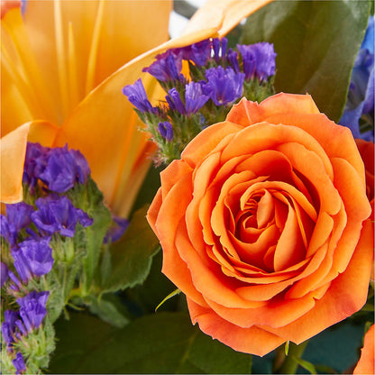 Radiant Citrus Box Bouquet –  Poplar Flower Shop, Terre Haute IN