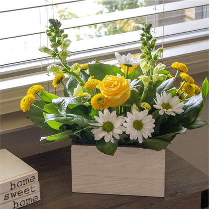 Sun Salutation Box Bouquet –  Poplar Flower Shop, Terre Haute IN
