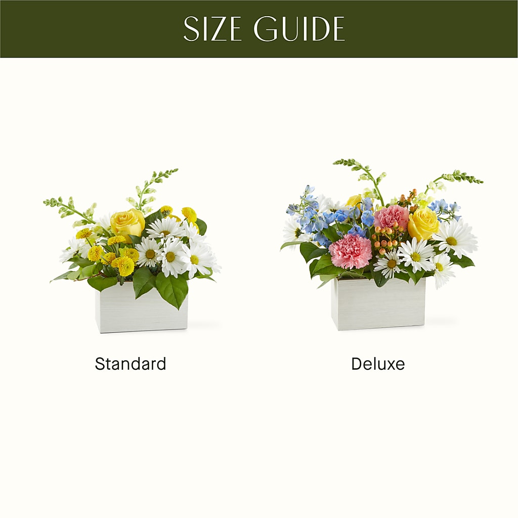 Sun Salutation Box Bouquet –  Poplar Flower Shop, Terre Haute IN