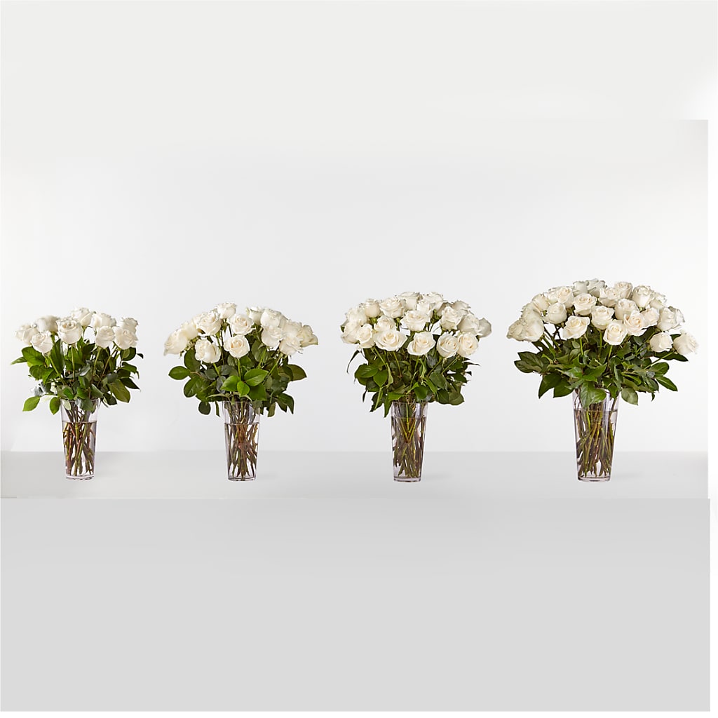 Long Stem White Rose Bouquet –  Poplar Flower Shop, Terre Haute IN