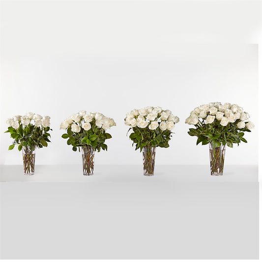 Long Stem White Rose Bouquet –  Poplar Flower Shop, Terre Haute IN