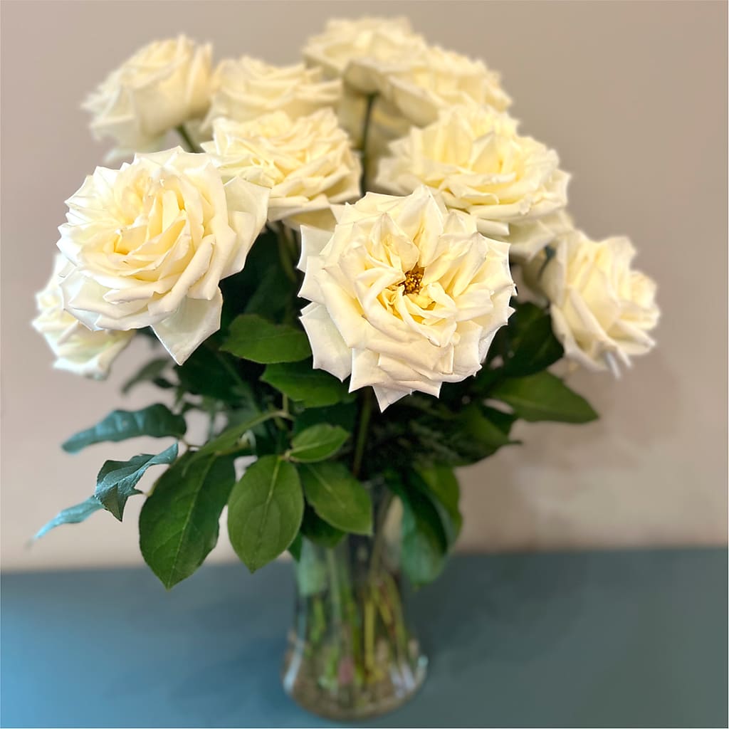 Long Stem Yellow Rose Bouquet –  Poplar Flower Shop, Terre Haute IN