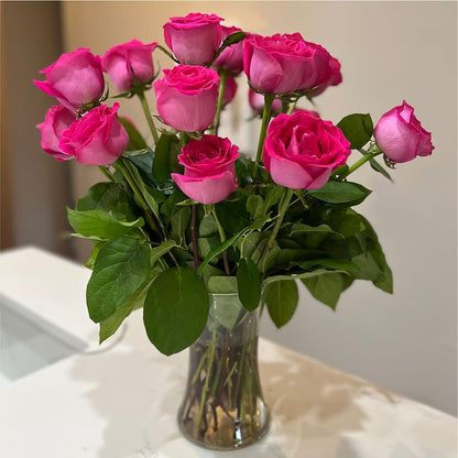 Long Stem Pink Rose Bouquet –  Poplar Flower Shop, Terre Haute IN