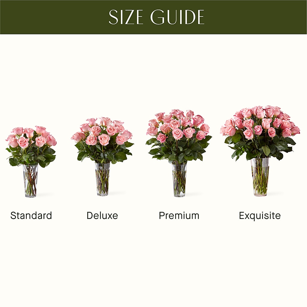 Long Stem Pink Rose Bouquet –  Poplar Flower Shop, Terre Haute IN