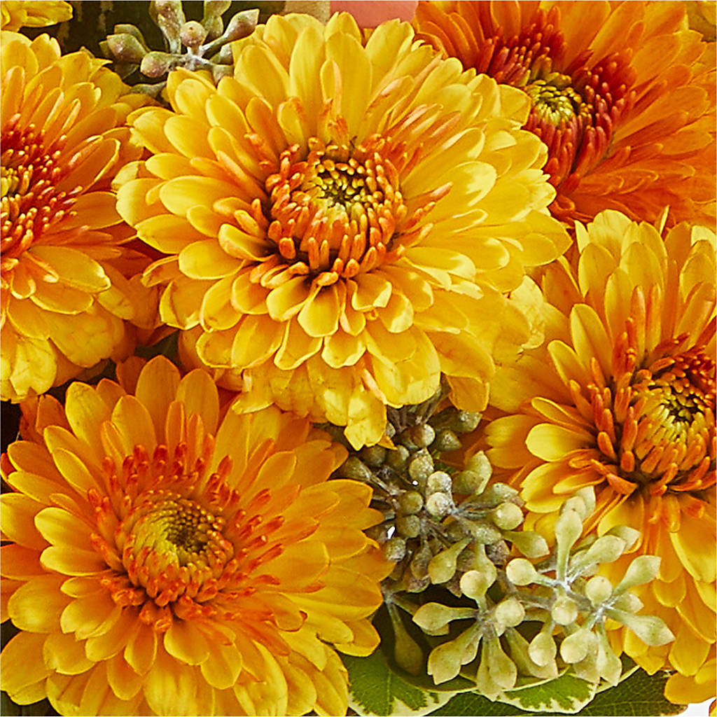 Peachy Pumpkin –  Poplar Flower Shop, Terre Haute IN