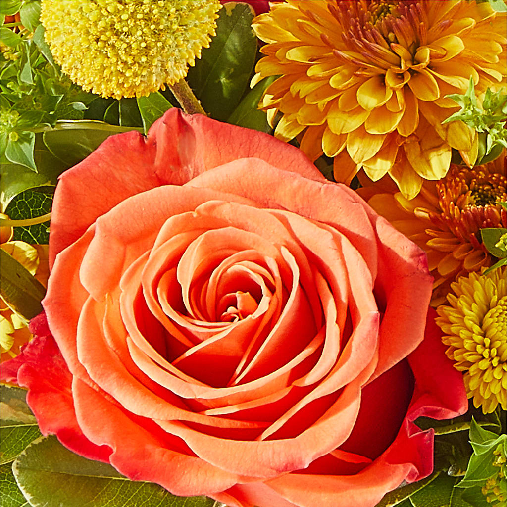 Gourdgeous Pumpkin –  Poplar Flower Shop, Terre Haute IN