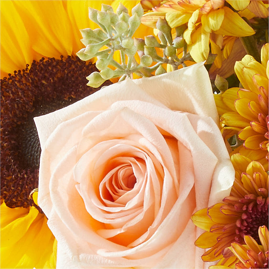 Pumpkin to Talk About Bouquet –  Poplar Flower Shop, Terre Haute IN