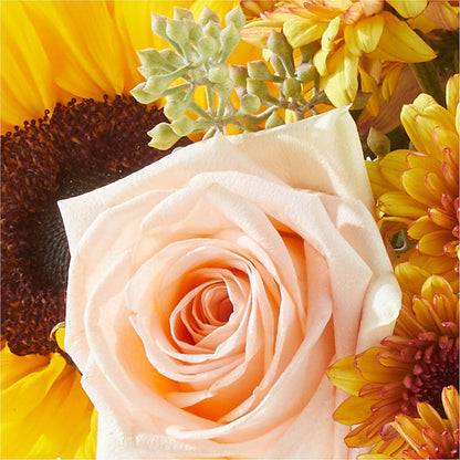 Pumpkin to Talk About Bouquet –  Poplar Flower Shop, Terre Haute IN