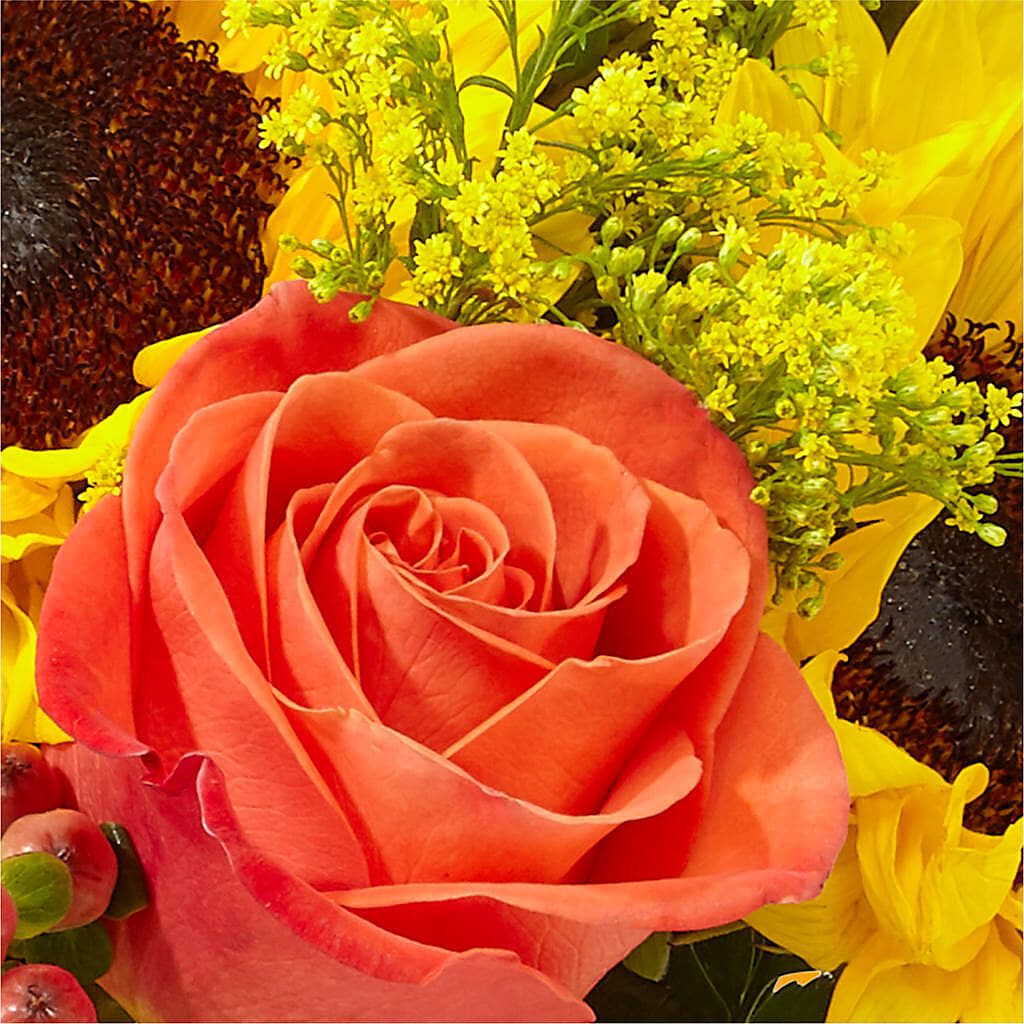 Pick of the Patch Pumpkin Bouquet –  Poplar Flower Shop, Terre Haute IN
