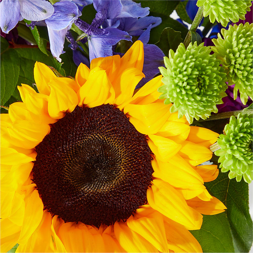 Catching Rays Bouquet –  Poplar Flower Shop, Terre Haute IN