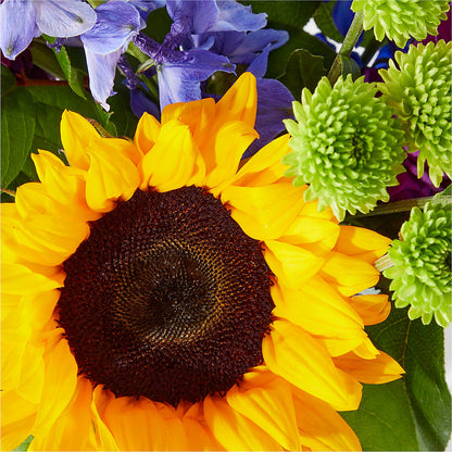 Catching Rays Bouquet –  Poplar Flower Shop, Terre Haute IN