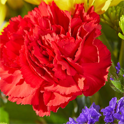 Brighter Days Bouquet –  Poplar Flower Shop, Terre Haute IN