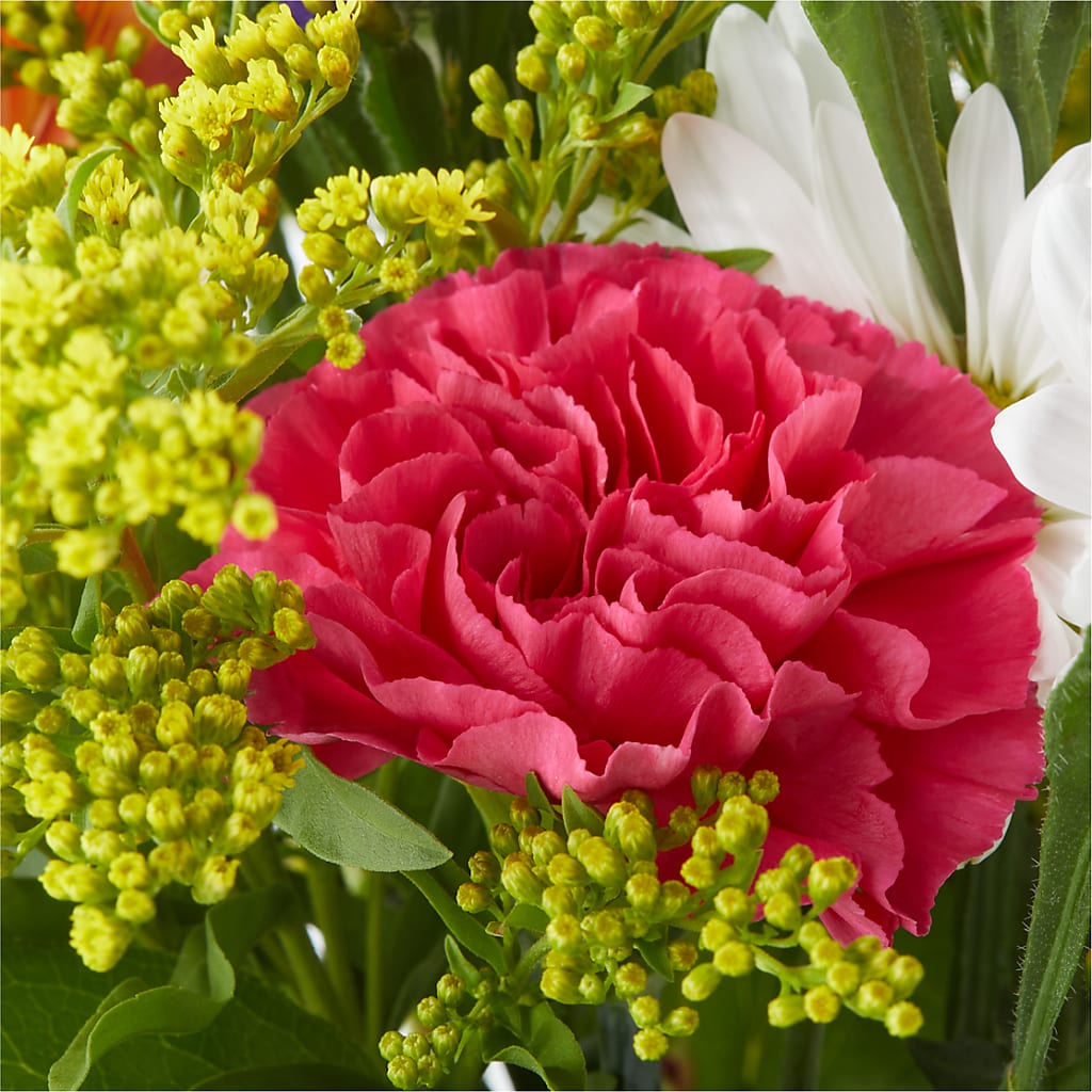 Oopsie Daisy Bouquet –  Poplar Flower Shop, Terre Haute IN