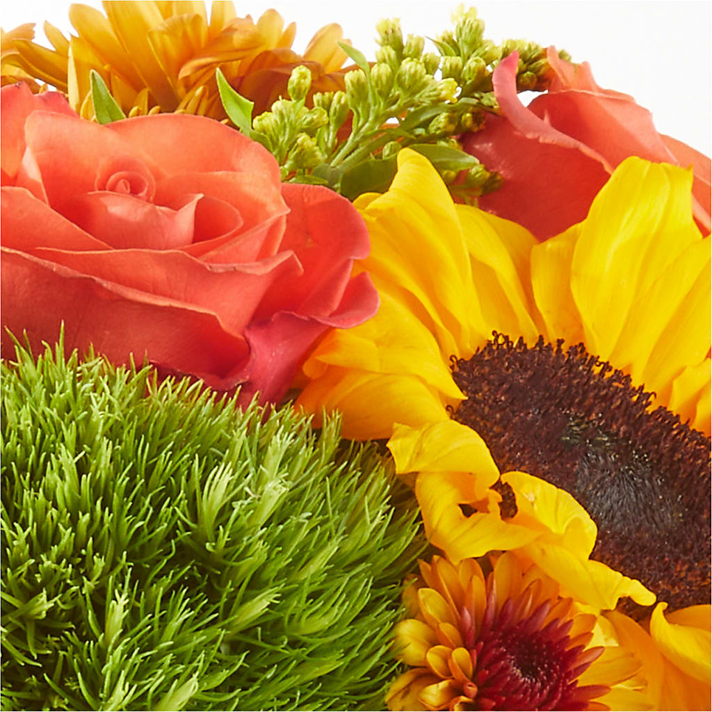Farmer’s Market Stroll Bouquet –  Poplar Flower Shop, Terre Haute IN