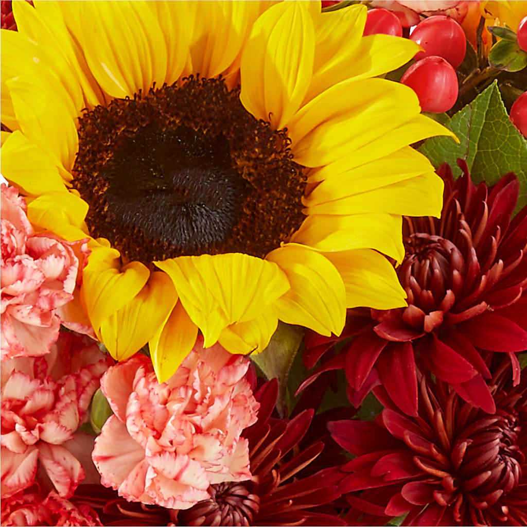 Fresh Cider Bouquet –  Poplar Flower Shop, Terre Haute IN