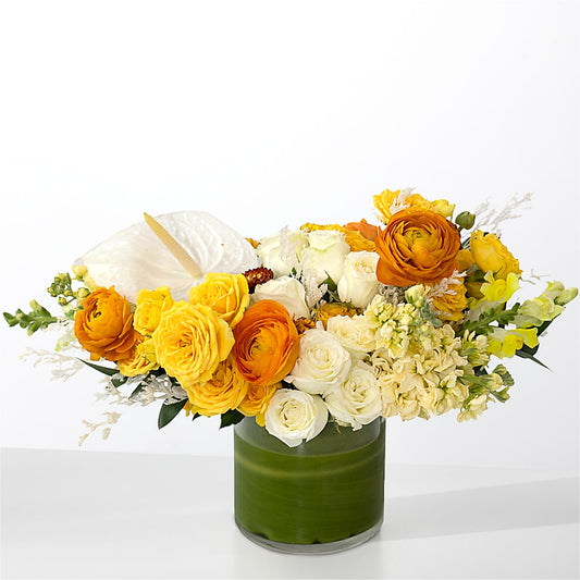 The Optimist –  Poplar Flower Shop, Terre Haute IN