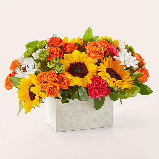 Sun-drenched Blooms Box Bouquet –  Poplar Flower Shop, Terre Haute IN