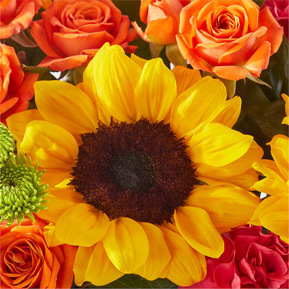 Sun-drenched Blooms Box Bouquet –  Poplar Flower Shop, Terre Haute IN