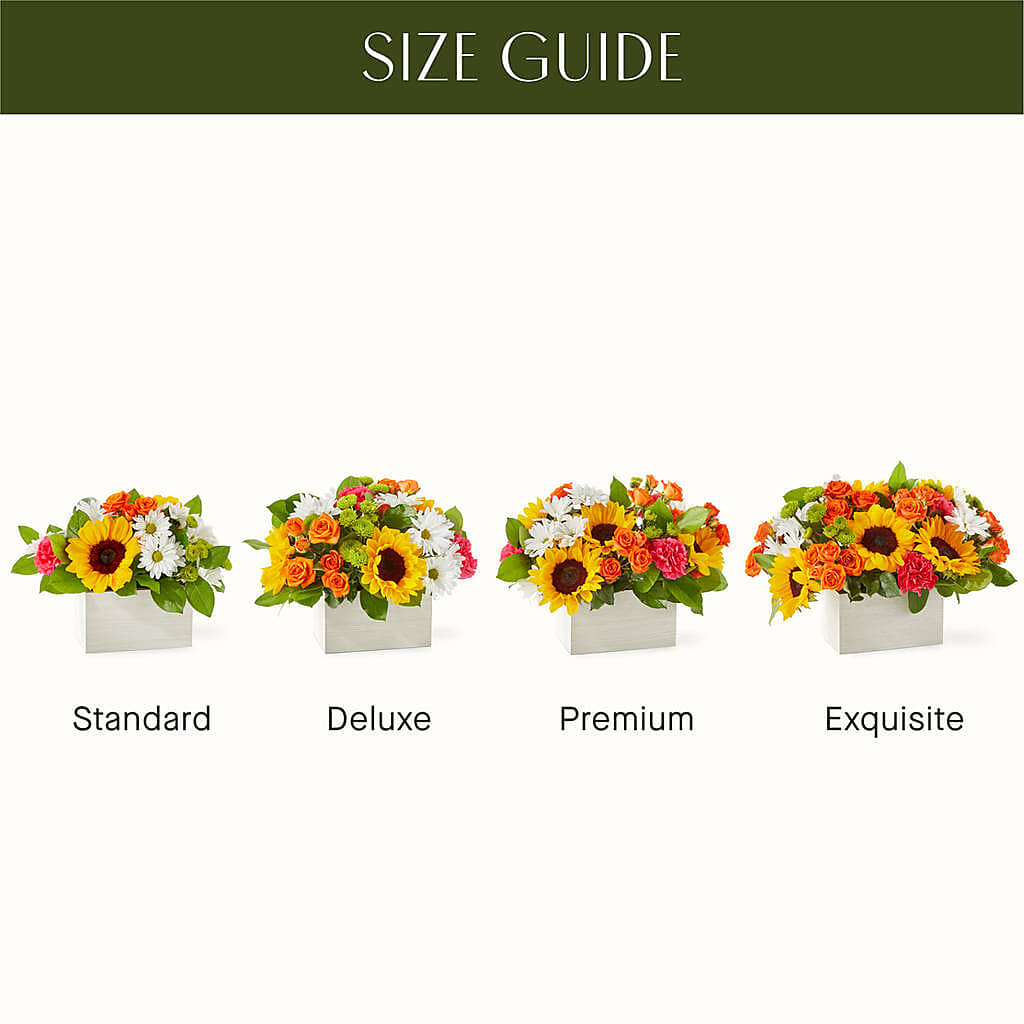 Sun-drenched Blooms Box Bouquet –  Poplar Flower Shop, Terre Haute IN