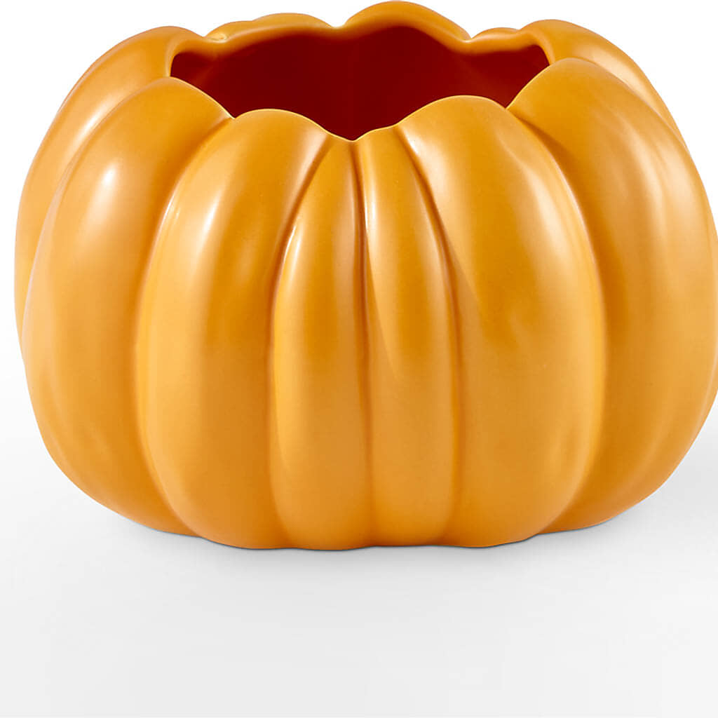 Pick of the Patch Pumpkin Bouquet –  Poplar Flower Shop, Terre Haute IN