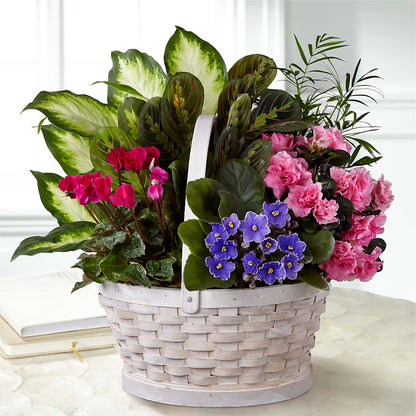 Peaceful Garden Planter –  Poplar Flower Shop, Terre Haute IN